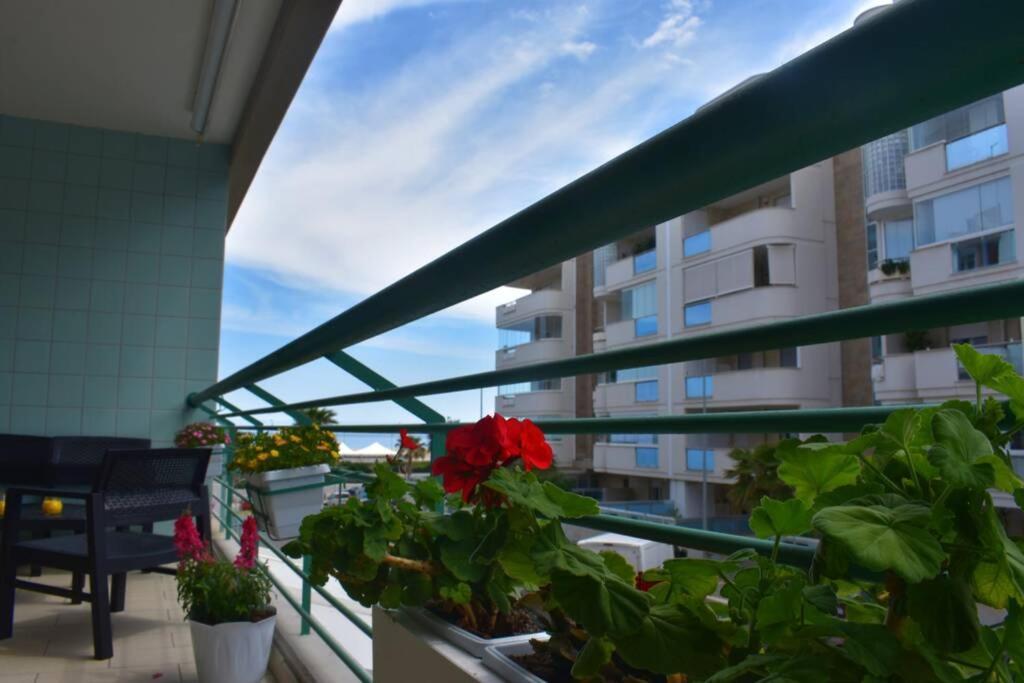 Donna Teresa Accomodation - Holiday House Monopoli Exterior foto